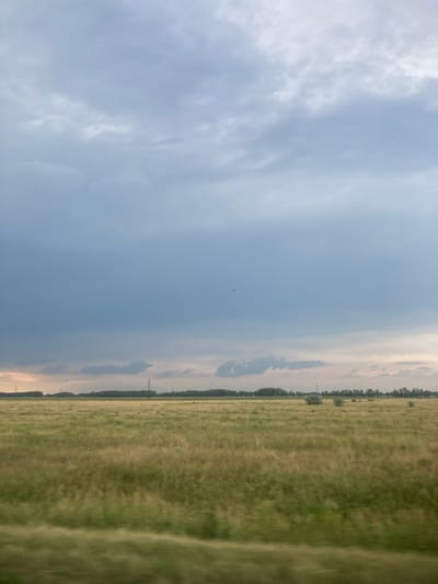 The image depicts a wide, grassy field under a cloudy sky. The grass appears to be a mixture of green and dry yellow hues, suggesting either a transition in seasons or a dry spell. In the distance, a line of trees marks the horizon, with several tall, slender structures, likely power line pylons, intermittently rising above them. The sky is predominantly a muted blue and grey, with darker clouds gathered in the upper left quadrant, hinting at possible inclement weather. A small, dark object, possibly a bird or a distant aircraft, is visible in the upper central part of the sky. The overall impression is one of a rural or semi-rural landscape, typical of the outskirts of a city like Rubtsovsk, Russia. The motion blur in the foreground suggests the photo was taken from a moving vehicle.