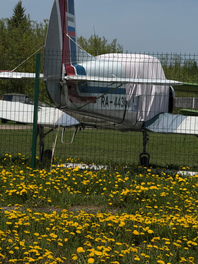 A light aircraft, possibly an ultralight, is partially obscured by a chain-link fence and a field of dandelions. The aircraft, registration "RA-4436," is parked on grass. The tail section features a grey, red, white, and blue color scheme. The environment includes trees in the background and a partially visible paved area. The location is possibly near Bogorodsk, Russia.