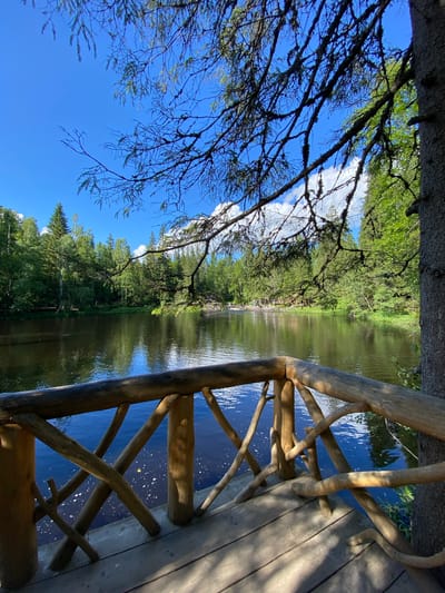 The image depicts a scenic view of the Ruskeala Mountain Park in Ruskeala, Russia. In the foreground, there is a wooden platform with a rustic railing made of natural branches. Beyond the railing, a calm, dark body of water reflects the clear blue sky and the surrounding lush green forest. The trees are dense and varied, with some taller conifers standing out amongst the deciduous trees. The water appears to be a river or a lake, and small white specks on its surface suggest ripples or perhaps some form of foam. In the distance, on the far bank of the water, several indistinct figures can be seen, suggesting the presence of other visitors to the park. The overall impression is one of natural beauty and tranquility, with the man-made wooden structure providing a vantage point to appreciate the landscape.