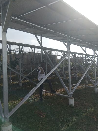 The image shows a field of solar panels, mounted on a metal support structure. The panels appear to be tilted slightly towards the sky. Grass covers the ground beneath the panels. A person wearing a white shirt and dark pants is partially visible among the supporting beams. A pile of small logs or branches lies on the grass. The sky is visible between the rows of panels.