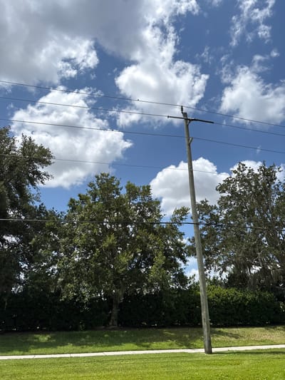 The image captures a clear sky with scattered white clouds above a row of trees and a utility pole. The scene is outdoors, likely in Bradenton, United States of America, given the foliage typical of the region. The utility pole, made of concrete, stands tall, supporting several electrical wires that stretch horizontally across the frame. A small bird is perched on one of these wires, near the top of the pole. Below the trees, a neatly trimmed green lawn runs parallel to a paved walkway. The overall impression is one of a peaceful, residential or suburban setting on a bright day.