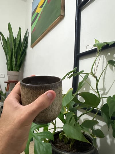 The scene depicts an interior room located in the Gilboa Regional Council, Israel. In the foreground, a light-skinned right hand holds a cylindrical ceramic cup that features a dark brown rim and a textured, speckled brown-to-tan body. The hand exhibits short fingernails. To the midground-right, a potted green plant with distinctively lobed and fenestrated leaves climbs vertically along a black, ladder-like structure, secured by thin twine. To the midground-left, a tall, potted Sansevieria plant (snake plant) with upright, sword-shaped leaves rests on a small, three-legged light-brown wooden stool. A framed abstract painting, composed of geometric segments in green, yellow, blue, black, and red, is mounted on the white wall in the background, positioned above the snake plant. A white electrical outlet is visible on the far left portion of the white wall. The room is illuminated, casting soft shadows from the objects onto the wall.