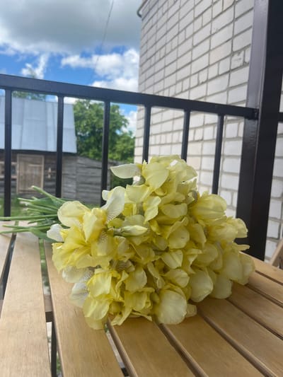 A vibrant bouquet of light yellow irises rests on a slatted wooden surface, likely a bench or table, in an outdoor setting. The flowers are abundant, with some petals exhibiting subtle white and gray veining. A dark metal railing occupies the foreground and midground, suggesting the viewpoint is from a balcony, porch, or elevated terrace. Beyond the railing, a clear blue sky with fluffy white clouds is visible, along with lush green trees and distant building structures, possibly houses or sheds. The scene is brightly lit by natural daylight, indicating a sunny day. The overall impression is one of natural beauty and tranquility. The location context is Новая Тура, Russia. There is no visible text in the image.