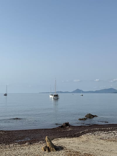 A wide shot captures a serene coastal scene under a clear, pale blue sky. The foreground features a sandy beach littered with dried seaweed and small pebbles, with a weathered piece of driftwood lying diagonally across the sand. In the middle ground, the calm, slate-blue sea stretches out to the horizon. Several sailboats are visible on the water: a lone sailboat with a dark hull and white sail on the left, a catamaran with two hulls in the center-right, and two other smaller sailboats further in the distance. In the background, a hazy, mountainous coastline extends across the horizon. The overall impression is one of peaceful tranquility on a sunny day in Villaputzu, Italy.