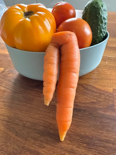 A close-up, eye-level shot shows a light blue bowl filled with vegetables, including a large yellow tomato, two red tomatoes, and a green cucumber. In front of the bowl, two oddly shaped carrots are positioned, one on the left and one on the right, with the right carrot being significantly larger. The carrots are leaning forward, their orange bodies clearly visible against the darker wood grain of the table. The lighting in the scene is soft, highlighting the textures of the vegetables and the wood. There are no people visible in the image. The scene appears to be set indoors, likely a kitchen or dining area, given the presence of the bowl and the wooden table surface. The location is specified as Птицевод-2 Снт, Russia.