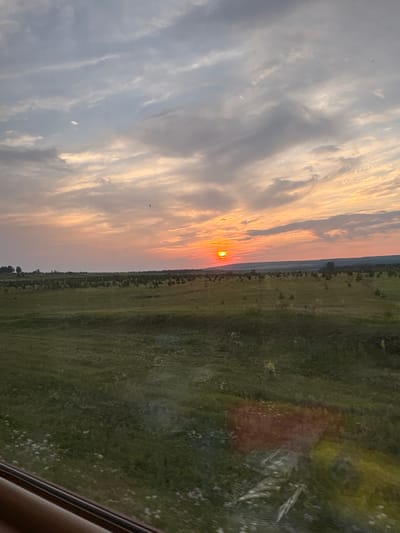 The image depicts a serene sunset over a vast, green field. The sky is filled with a mix of clouds, with hues of orange, pink, and grey, suggesting the sun is setting or has recently set. The sun itself is a bright orange orb, visible on the horizon, casting a warm glow across the landscape. The field is lush and green, dotted with small white flowers, and appears to be a rural or undeveloped area. In the distance, a line of trees marks the edge of the field, and beyond that, a gently rolling horizon. The foreground shows a reflection on a window, possibly indicating the photo was taken from inside a vehicle or building. The overall impression is one of natural beauty and tranquility. The specific location of Nosakino, Russia, is not visually identifiable from the image itself.