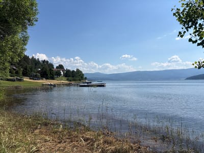 A wide shot captures a serene lake with a shoreline in the foreground on a sunny day. Lush green trees frame the left side of the image, with a cluster of houses nestled amongst more trees further up the bank. A wooden pier extends into the water, with several boats docked alongside it. The lake itself is calm, with gentle ripples reflecting the bright blue sky dotted with fluffy white clouds. In the distance, rolling hills fade into the horizon. The scene evokes a sense of tranquility and offers a glimpse into the natural beauty surrounding the city of Batak, Bulgaria.
