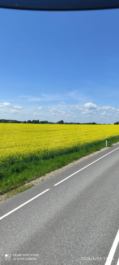 In Uue-Antsla, Estonia, a bright blue sky with scattered white clouds looms over a vast, vibrant yellow field, likely rapeseed, stretching across the horizon. A dense line of trees borders the field in the distance. In the foreground, a grey asphalt road runs diagonally from the bottom right to the middle left of the frame. White dashed lines mark the road's lanes. To the left of the road, a strip of green grass and vegetation separates the field from the asphalt. A white and black road marker is visible on the right side of the road, near the edge of the field. The bottom right corner of the image displays a timestamp and text indicating "2026/6/29 13:15." The bottom left corner has a logo and text reading "REDMI NOTE 9 PRO AI QUAD CAMERA."