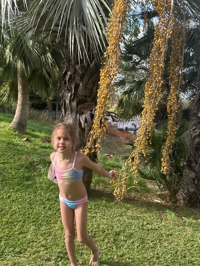 A young girl in a rainbow-striped bikini stands on a grassy lawn next to a palm tree. The tree has a thick, textured trunk and is adorned with numerous small, yellow fruits hanging in clusters. The girl is smiling and looking at the camera. Her legs are spread slightly, and her arms are bent at the elbows. The background shows more palm trees, lush green grass, and dappled sunlight, suggesting a warm, sunny day. The overall scene is one of a tropical or semi-tropical outdoor environment, likely a garden or park. The image is oriented vertically, with the top of the frame showing more of the palm tree's fruit and foliage. The girl's expression and the bright colors of her swimsuit suggest a happy and relaxed atmosphere.