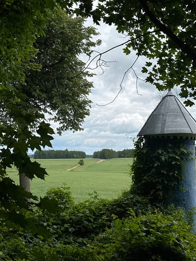 The image depicts a view through lush green foliage towards a field and a tall, conical structure covered in ivy. The foliage, primarily large maple leaves and tree branches, frames the scene from the left and foreground. The conical structure, appearing to be part of a tower or silo, is dark blue or gray with visible metal plating near its peak. Ivy vines actively climb its side.
Beyond the foliage and the structure, a wide, green field stretches into the distance, with a winding dirt path visible. A line of dense trees borders the field in the mid-ground. The sky above is cloudy with patches of blue sky peeking through, suggesting a partly cloudy day. The lighting indicates it is daytime, possibly late morning or afternoon. The overall impression is one of nature reclaiming an old structure, with a sense of peacefulness and rustic beauty. There is no visible text in the image.