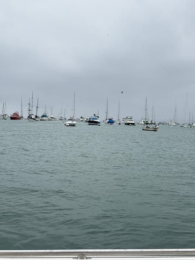 This is an eye-level, medium shot of a cloudy day at a marina with many boats docked in the water. The water is choppy, with small waves. In the foreground, there is a white railing with metal fittings. In the background, numerous sailboats and motorboats are moored. Some boats are closer to the camera, while others are further away. The sky is overcast and gray, with a few distant birds visible. The scene appears to be a calm, recreational harbor. Given the context of La Punta, Peru, this is likely the La Punta Marina. There are no people clearly visible on the boats or docks, though there are two figures in a small boat in the middle distance.