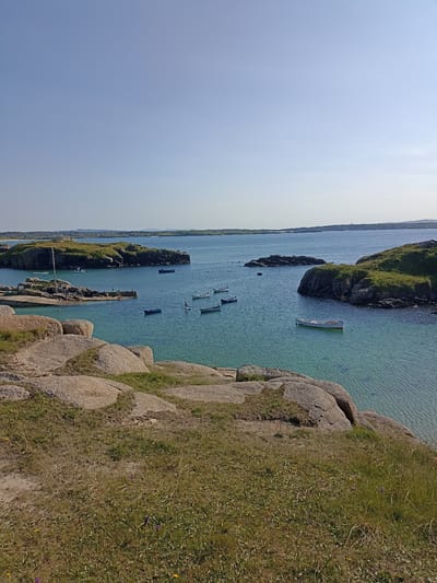 This is a high-angle, long shot photograph of a coastal scene in Carnboy, Ireland. The image features a body of water with several small boats, both moored and adrift. The water is a clear, turquoise color, with visible ripples. Rocky islands and a small pier are present in the water, with some people visible on the pier and in the water. The foreground is dominated by large, weathered rocks and grassy terrain with scattered wildflowers. The background consists of more islands and a hazy horizon under a clear blue sky. The overall scene depicts a tranquil, natural landscape.