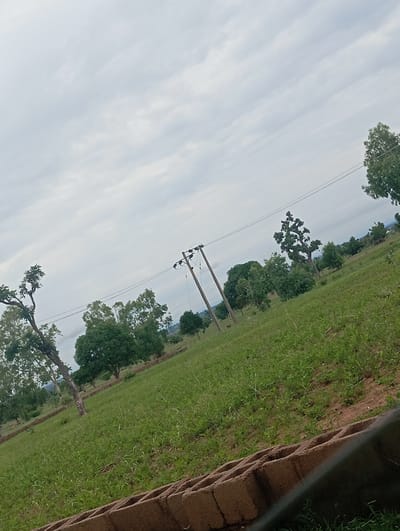The image depicts an outdoor scene in Garin Mallum, Nigeria. The foreground is dominated by a grassy field with a few scattered trees and a dirt path. In the middle ground, there are several more trees and a utility pole with wires. The background shows rolling hills and a cloudy sky.
The image appears to be taken during the daytime, under overcast skies. The lighting is diffused, suggesting either early morning or late afternoon, or a generally cloudy day. There is no discernable activity or event taking place; it appears to be a landscape shot.
Notable details include the presence of a single utility pole with electrical wires, suggesting some form of infrastructure in the area. The terrain is uneven and slopes upwards towards the background. The vegetation is lush and green, indicating a season with sufficient rainfall. The foreground also shows a construction element, possibly cinder blocks, hinting at ongoing development or a boundary marker. There is no visible text in the image. The overall mood is peaceful and natural, with a slight sense of desolation due to the lack of visible human activity or structures beyond the utility pole.
