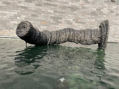The media file displays an elongated, dark, woven sculptural object, suspended vertically within the frame. The object is composed of a tightly woven, possibly synthetic rattan or wicker material, creating a textured, basket-like surface in dark grey or black tones. It features an undulating, slightly irregular cylindrical shape, appearing thicker at one end and tapering somewhat towards the other. Two thin, light-colored rods or wires extend upwards from the top side of the object, disappearing into the rippled surface above.
The upper portion of the image is dominated by a liquid surface, presumably water, characterized by numerous small, irregular ripples and waves. This surface exhibits a greenish-grey hue, reflecting ambient light and creating a dynamic pattern of highlights and shadows. This suggests the object is partially submerged in water or situated just below its surface, viewed from a slight angle.
The lower portion of the image reveals a flat architectural surface, composed of light grey, rectangular tiles or bricks arranged in a horizontal pattern. This solid surface contrasts with the liquid above and the textured object.
There is no discernible activity taking place; the scene captures a static art installation or decorative feature. The lighting is bright and clear, highlighting the intricate texture of the woven object and the reflective qualities of the water. The modern aesthetic of the sculpture and the tiling is consistent with public art or urban design elements found in a contemporary setting like Southbank, Australia. No text is visible in the image.