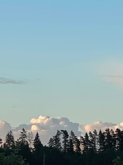 The image depicts a twilight sky over a forest line in Zaķumuiža, Latvia. The sky is a gradient of pale blue to a lighter hue near the horizon, with several distinct cloud formations. The most prominent clouds are illuminated from behind, appearing bright white and puffy against the softer, greyish clouds that stretch horizontally across the frame. Below the sky, a dense line of dark evergreen trees forms a silhouette against the lighter sky. The tops of the trees are pointed and varied in height, with some appearing wind-swept. In the foreground, the dark canopy of more trees and foliage is visible. The overall atmosphere is calm and serene, characteristic of early evening in a natural setting.