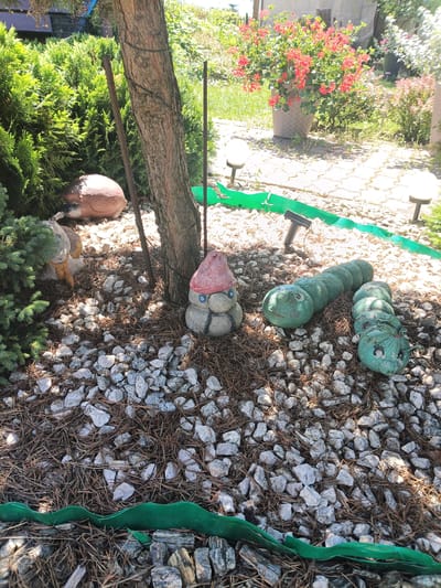 The image depicts a garden scene with several decorative items scattered on a bed of gravel and pine needles. In the foreground, a row of segmented, green, caterpillar-like figures are arranged, each with visible painted eyes. To the left of the caterpillars, a gnome-like figure made of concrete sits with a red hat and a yellow scarf. Behind the gnome and partially obscured by a tree trunk, a brown, hedgehog-shaped decoration is visible. The background shows a large potted plant with red flowers and lush green foliage. The ground is covered with light-colored gravel and pine needles, and a wavy green border separates the gravel area from a paved walkway. The scene appears to be outdoors in a well-maintained garden, potentially in a residential area. The specific location in the city of Igołomia, Poland, is not visually evident from the image alone, as it portrays a generic garden setting.
