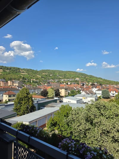A panoramic, high-angle shot captures a sun-drenched village nestled at the foot of a verdant, vineyard-covered hillside under a bright blue sky with scattered white clouds. The foreground features a balcony railing and planters filled with purple and white flowers. In the middle ground, a dense collection of red-tiled roofs indicates a populated area, with various buildings of different heights and styles. A church spire is visible among the rooftops. The background is dominated by a lush green hill, likely covered in vineyards, sloping upwards and dotted with more houses. The scene suggests a peaceful, daytime view of a European village. The location is Mutzig, France.