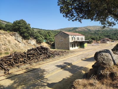 The image depicts a rural landscape with an old, abandoned train station. The station building is constructed of stone with a red-tiled roof and features several arched windows and a covered platform area. In front of the station, a pile of weathered wooden railway ties lies next to disused train tracks. The tracks lead away from the station and into the distance, where hills covered in vegetation and wind turbines are visible against a clear blue sky. The area around the station is dry and dusty, with sparse vegetation and rocky outcrops. The scene appears to be bathed in sunlight, casting long shadows from nearby trees. The location is identified as Sanchotello, Spain.