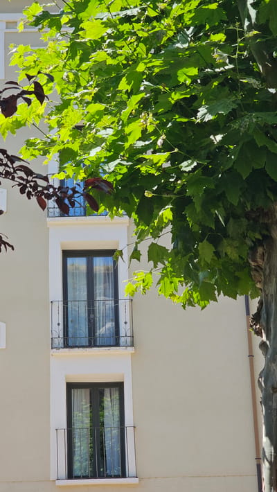 This is a vertical, close-up, eye-level, medium shot of a building facade in Alhama De Aragón, Spain, partially obscured by a large tree with green leaves. The building has a light beige stucco exterior. Two windows with black frames are visible, each with a small black metal balcony. The upper window has a decorative iron railing, while the lower window has a simpler railing. Both windows have sheer white curtains. The upper balcony features an ornate black wrought-iron railing with decorative scrollwork. The tree on the right is large and gnarled, with rough bark and a thick trunk. Its branches, covered in vibrant green leaves, overhang the building. Some dark red leaves are visible on branches in the upper left of the frame. The sunlight creates dappled shadows on the building and leaves.