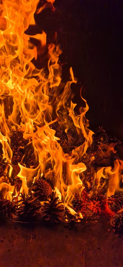 The image shows a close-up, vertical shot of a fire burning with vibrant orange and yellow flames against a dark background. In the foreground, numerous pinecones are visible, some actively burning and others smoldering, interspersed with embers and ash. The fire appears to be on a rough, dark surface, possibly soil or a fire pit. There are no people or animals present in the frame. The scene depicts a controlled or natural fire involving pinecones as fuel. This event is not located in the city of Molovata Nouă, Moldova.