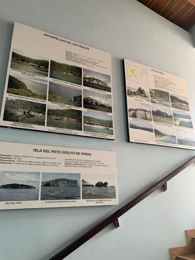 The image shows three informative posters mounted on a light blue wall, likely in a public building or museum in Boca del Río, Venezuela. A dark brown wooden handrail is mounted diagonally across the lower right portion of the frame, and a section of terracotta-colored stairs is visible at the bottom right.

The poster on the left is titled "ARCHIPIÉLAGO DE LOS FRAILES" and features a grid of six photographs depicting various coastal landscapes and structures associated with the Frailes Archipelago. The text accompanying the images provides geographical and descriptive information.

The poster in the center is titled "LOS TESTIGOS" and includes a small map and multiple photographs of rocky coastlines and islands. Text on this poster also details geographical and ecological information about the depicted area.

The poster on the bottom, titled "ISLA DEL PATO (GOLFO DE PARIA)", displays three photographs of islands and coastal rock formations, along with textual descriptions of the Isla del Pato and its surroundings in the Gulf of Paria.

The lighting suggests an indoor environment, possibly with ambient light from windows or artificial sources. The overall scene is clean and orderly. There are no people visible in the frame.