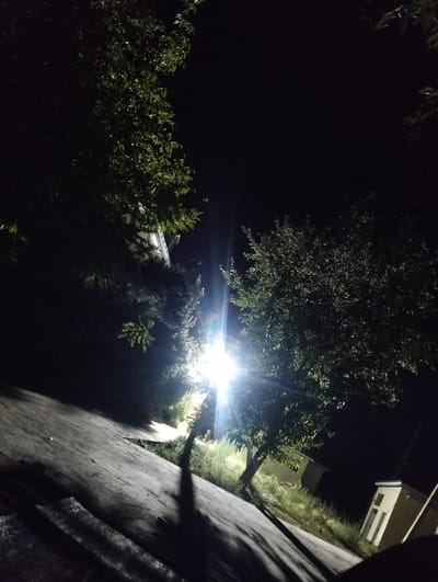 This image depicts a nighttime scene on a paved surface in Danghara, Tajikistan. The foreground is dominated by a dark, textured ground, possibly asphalt or concrete, with some lighter patches and shadows. To the left, a dense tree with dark green foliage occupies the upper portion of the frame, its branches extending into the darkness. In the mid-ground and right side of the image, a bright street light illuminates a large, leafy tree, casting a strong glare and lens flare. Beyond this tree, two small, light-colored buildings with windows and doors are visible amongst green vegetation. The sky is dark and unlit, indicating nighttime. No people are present in the image.