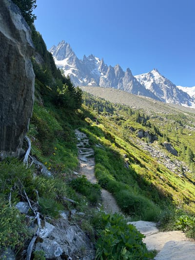 The image depicts a mountainous landscape under a clear blue sky. In the foreground, a rocky, overgrown path winds its way up a grassy slope dotted with wildflowers. The path is made of uneven stones, suggesting a well-trodden hiking trail. To the left, a large, grey rock face with exposed roots dominates the immediate foreground.
The middle ground features a lush green slope covered in grasses and low-lying bushes, with a scattering of small trees. The terrain is uneven and rocky in places, with sunlight casting distinct shadows, indicating the time of day is likely late morning or early afternoon. A few distant figures are visible on the path further up the slope, appearing to be hikers.
The background is characterized by a majestic mountain range with jagged, snow-capped peaks. The mountains are imposing, with sharp, rocky formations. The landscape transitions from the green slopes to scree-covered slopes leading up to the rocky, snow-covered summits.
The scene is consistent with the natural environment found in the vicinity of Chamonix-Mont-Blanc, France, a region renowned for its alpine scenery and hiking trails.