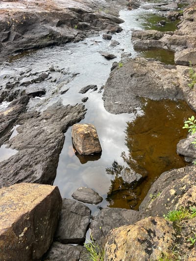 A natural scene in Village of Lyons Falls, United States of America, shows a rocky streambed with flowing water. The water is clear and reflects the sky and surrounding trees. Large, dark gray rocks are abundant, some submerged and others forming the banks of the stream. In the foreground, a large, tan-colored boulder is partially submerged in a pool of brown water. Further back, the stream widens and continues to flow over more rocks. Green grass and small plants are visible growing on the rocks in some areas. The overall impression is one of a natural, untouched outdoor environment.