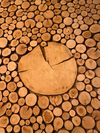 The image presents a flat, mosaic-like surface constructed from numerous circular cross-sections of tree logs, located in the city of Skotnoe, Russia. The wood slices vary in diameter, from approximately 5 centimeters to over 50 centimeters, and display a natural light brown to golden-brown coloration with visible concentric growth rings. A large, central wood slice, significantly larger than the surrounding pieces, exhibits three distinct radial cracks originating from its core and extending towards its perimeter. The smaller, peripheral wood slices are tightly fitted against each other, leaving narrow, dark gaps between their irregular edges. Some slices retain remnants of darker bark on their circumference. No individuals, actions, or specific interactions are visible within the frame. The surface is evenly illuminated, highlighting the natural grain and texture of the wood.