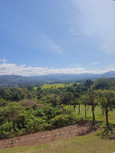A scenic view captures a lush landscape under a bright, blue sky dotted with fluffy white clouds. Distant mountains form a backdrop, while a valley of green fields lies in the midground. The foreground features a vibrant mix of trees and vegetation, with shadows cast by trees on a grassy slope, adding depth and dimension to the vista. The overall impression is one of tranquility and natural beauty.