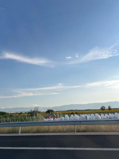 This media file captures a rural landscape in Saraia, Bulgaria. The scene is dominated by a vast blue sky with wispy white clouds, suggesting a clear day, likely during daylight hours, given the bright lighting. The orientation of the image is portrait.
In the middle ground, a field of sunflowers stretches across the horizon, its vibrant yellow a stark contrast to the muted tones of the distant mountains and the bright sky. Along the edge of the field, bordering a highway, are numerous large white bags, possibly filled with agricultural produce or materials. These bags are arranged in a line, creating a textured pattern. A silver guardrail runs along the side of the dark asphalt highway, which has white lane markings.
In the background, rolling mountains form a hazy silhouette against the sky. A few trees are scattered throughout the landscape, adding touches of green. The overall impression is one of agricultural activity and open countryside. No people are visible in the image. There is some visible text on the white bags, though it is too small and blurry to be legible. The general mood is serene and expansive, characteristic of a rural setting.