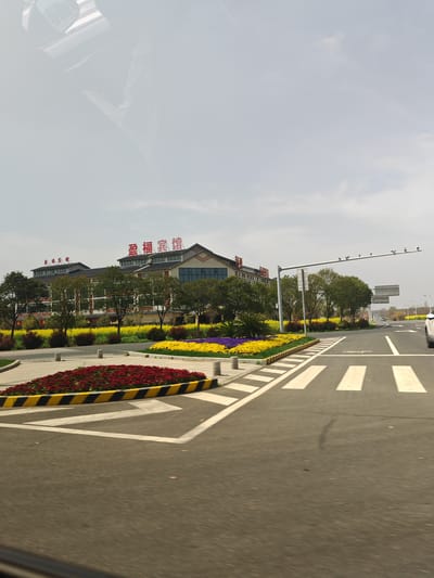 The image displays a daytime scene at a road intersection in Jurong, China, under an overcast sky. The perspective is from inside a vehicle, evidenced by reflections on the top and bottom edges of the frame. In the foreground, a multi-lane asphalt road features white pedestrian crossing stripes and directional arrows. A central traffic island, bordered by a curb painted with black and yellow diagonal stripes, contains a bed of dark red flowers. Adjacent to the road, meticulously landscaped areas include extensive patches of bright yellow flowers, likely rapeseed, interspersed with beds of yellow and purple flowering plants, and numerous green trees.

In the background, a multi-story building with a distinct roofline, including multiple gabled sections, is visible. Prominent red Chinese characters spelling "盈福宾馆" (Yingfu Guesthouse) are affixed to the roof. A metal gantry equipped with multiple cameras or sensors spans across the road, with a square road sign positioned beneath it. The rear section of a white vehicle is partially visible on the far right lane, facing away from the viewer. No individuals are present in the scene.