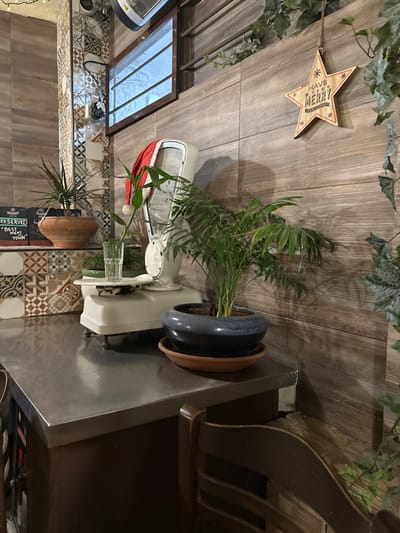 This image captures an inviting indoor space, likely a restaurant or cafe in Agios Dimitrios, Greece, adorned with festive and natural elements. The scene is well-lit, giving a sense of a cozy establishment.

The background features vertical wooden paneling, creating a rustic aesthetic, from which artificial green ivy trails across the top. A light-colored wooden star-shaped sign hangs prominently from the paneling, bearing the partial text "HAVE A VERY MERRY," strongly suggesting a Christmas theme.

In the mid-ground, a lush green plant with slender leaves is housed in a speckled blue-grey pot, resting on a terracotta saucer atop a polished stainless steel counter that extends from the right. To the left of this plant, an antique-style white mechanical scale is visible, playfully topped with a red Santa hat, reinforcing the holiday atmosphere. A small bamboo plant in a glass vase sits on the scale.

The lower left portion of the image reveals a wall decorated with multi-patterned tiles, adding a touch of traditional or Mediterranean design. Above the tiles, a window with horizontal bars allows light to filter into the space. An electrical outlet with a connected plug is visible on the tiled wall. Below the counter, a smaller plant in a terracotta pot is placed next to a partially visible sign that reads "RESERVED" and "BEST... 'TOWN'". On the far right, a dark wooden chair with a curved back is partially visible, indicating a seating area. The overall ambiance is one of warmth and festive cheer, combining natural elements with charming decorations.