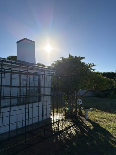 The image displays an outdoor scene of a white building partially enclosed by a dark metal rebar or scaffolding frame, viewed on a clear, sunny day. The sun, prominent in the upper left quadrant, emits a strong lens flare and indicates either early morning or late afternoon due to its low angle and the long shadows cast across the vibrant green grass.
The building itself features at least one window, on which faint, illegible text can be seen, and a chimney-like structure on its left side. To the right and behind the building, a garden area flourishes with several green trees, including a leafy fruit tree, and dense hedges. A small, white birdhouse-like object rests near the base of one tree. In the middle ground, a concrete bird bath or pedestal is visible on the lawn, also casting a long shadow. A dark metal fence or gate runs horizontally across the lower right section of the image, partially obscuring the view of the ground. The sky is a bright, cloudless blue. The overall setting appears to be a tranquil residential garden within the Overstrand Local Municipality, South Africa.