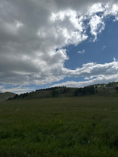 The image depicts a pastoral landscape with rolling hills covered in green grass and scattered trees. The sky is partly cloudy, with dramatic grey and white clouds interspersed with patches of blue. In the foreground, tall green grass is visible, suggesting a rural or undeveloped area. The background shows a treeline along the crest of the hills. There are no people or specific man-made structures clearly visible that would indicate a specific location within the city of Uralsk, Russia, or any urban setting. The scene is natural and appears to be an outdoor environment.