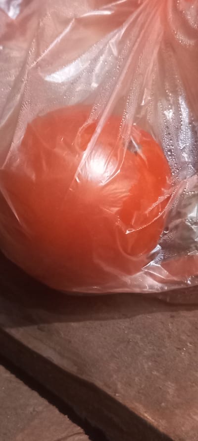 A tomato is enclosed in a clear plastic bag. The bag has condensation on its interior surface. The tomato is round and appears to be a vibrant red color, with a visible stem indentation at the top. The bag is resting on a wooden surface, which has a textured, grainy appearance and a dark brown hue, suggesting it might be a table or a plank. The lighting in the scene is somewhat dim, casting shadows and highlighting the sheen of the plastic bag and the tomato. The overall impression is of a close-up shot focusing on the simple details of the tomato within its packaging. The location in Mala Kalynivka, Ukraine is not discernible from the visual information provided in the image.