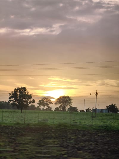 The image depicts a rural landscape in the vicinity of Padli, India, during what appears to be either sunrise or sunset. The sky is filled with a gradient of warm colors, transitioning from a pale yellow near the horizon to a muted gray and purple towards the top, with scattered clouds. Several power lines stretch horizontally across the frame, intersecting with the sky and obscuring parts of the scene.
In the middle ground, a few silhouetted trees stand against the bright sky, their forms dark and distinct. The ground is covered in lush green grass, with some areas appearing to be tilled soil in the foreground. A simple fence line runs across the grassy field. In the far distance, a small, rudimentary structure, possibly a shed or dwelling, is visible, alongside a utility pole. The overall impression is one of a tranquil, natural environment under a dramatic sky. There are no people visible in the image.