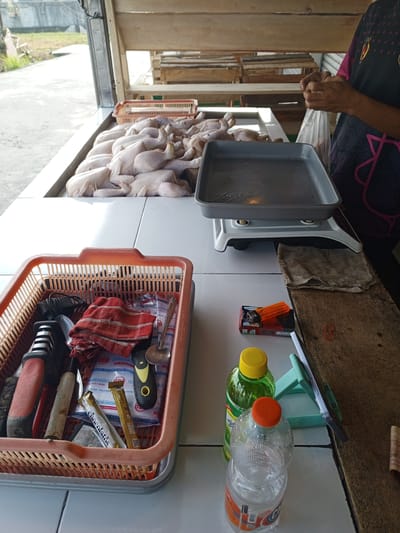 The image depicts a market stall or roadside vendor operating in Weddagala, Sri Lanka, during daylight hours. In the foreground, a white tiled countertop holds several items. On the left, a light orange plastic basket contains a red and white striped fabric cloth, a red and black knife sharpener, a knife with a white handle, a black-handled tool, a metal spoon, multiple clear plastic bags, and two snack bars (one branded "Chocolatos," another gold-wrapped). To the right of the basket, two plastic bottles are present: a clear bottle with an orange cap containing clear liquid, and a green bottle with a yellow cap containing green liquid. A light teal smartphone stand holds a silver smartphone. Adjacent to these items, a wooden plank serves as an additional surface, featuring a red packet of Gudang Garam cigarettes with an orange lighter placed on top, a red rubber band, and a rolled piece of paper, possibly currency, with "RUPIAH" partially visible.
In the midground, a substantial quantity of raw, plucked chickens are arranged on a white tiled display surface. To the right of the chickens, a gray rectangular metal tray rests on a white digital scale; the tray contains liquid residue. A person, whose torso and hands are visible on the far right, wears a dark blue/black t-shirt with pink and yellow patterns. The person's hands are holding a clear plastic bag. A brown rag lies on the wooden plank near the scale.
The background reveals a rustic outdoor environment. Behind the display counter, wooden shelves and structures are visible. Beyond the immediate selling area, a concrete wall, green vegetation, and a paved road or path recede into the distance under a bright sky.