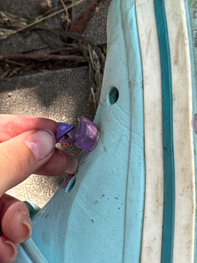 A close-up, overhead shot shows a person's fingers holding a small, purple, plastic duck toy. The duck is partially broken, with one piece of its body detached and held separately from its head. The duck appears to be made of translucent purple plastic, with a small orange beak and black eyes. The person's fingernails are visible, and they are a light pink color.
The duck is being held against a light blue, textured surface, which appears to be the sole of a shoe or sandal. The blue surface has several small holes, and a bit of what looks like a white and dark green striped material is visible above it, suggesting layers. The ground beneath is a speckled, greyish-brown texture, with some dry, dark brown twigs and straw-like material scattered around.
The lighting suggests it's daytime, with soft shadows and highlights indicating natural light. The overall impression is of a casual, outdoor setting, possibly a park or yard, where the person might have found or is examining the broken toy. No text is visible in the image.