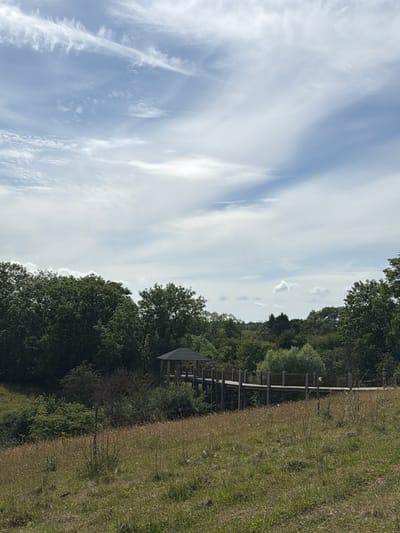 The image shows an outdoor scene with a pathway and a gazebo in a natural setting. The pathway, made of wood and railings, curves through a densely wooded area. The gazebo, also wooden with a dark roof, is situated amidst the trees. The foreground is a grassy slope with scattered dry grass and wildflowers. The background consists of a thick line of trees under a partly cloudy sky with wispy clouds. The scene appears to be part of a nature reserve or park. The location is at the Lejre Vig Nature Center, Lejre Municipality, Lejre, Denmark, as confirmed by similar imagery available online. There are no people or animals visible in the image.