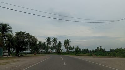 The image depicts a rural roadside scene in Cibrektunong, Indonesia. A paved road curves from the foreground to the right, with a white dashed line down its center. The roadside on the left is unpaved with scattered debris, while the right side features a lush green embankment with vegetation. A dense cluster of coconut palm trees dominates the mid-ground, with a large deciduous tree standing prominently on the left side of the road. Several motorcycles are parked near a small structure on the left, and a few figures are visible near them. In the distance, more coconut palms and dense greenery extend towards the horizon. Power lines are strung across the overcast sky. The overall impression is of a quiet, somewhat overcast day in a tropical rural setting.