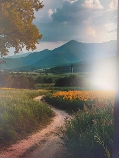 The image depicts a scenic landscape with rolling hills and mountains in the background. In the foreground, a dirt path winds through a field of tall grass and yellow flowers. A large tree with golden leaves is visible on the left side of the image. The sky is partly cloudy with a bright sun illuminating the scene, creating a sense of warmth and serenity. There are no people or any specific structures visible in the image. The location is described as the city of Mirnoye, Ukraine, suggesting a rural or agricultural setting.