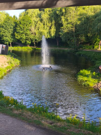 The image depicts a tranquil canal in Schwarzenbek, Germany, lined with lush green trees and vibrant vegetation. A fountain stands in the center of the canal, its water gracefully spraying upwards, creating a mesmerizing ripple effect on the water's surface. The surrounding area is a picturesque park, with a paved walkway running alongside the canal, inviting visitors to stroll and enjoy the natural beauty. The presence of a few scattered yellow flowers adds a touch of color to the scene, enhancing its serene ambiance. The overall impression is one of peace and serenity, a perfect escape from the hustle and bustle of city life.