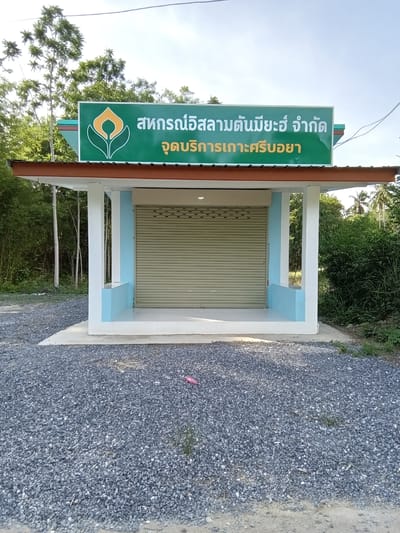 The image captures a single-story service building situated in a rural or semi-rural environment identified as Ko Siboya, Thailand. The structure features a white exterior with light blue accents on the lower wall sections and pillars, supporting a roof with visible brown eaves. The primary entrance is secured by a closed, beige-colored rolling shutter. Above the entrance, a rectangular green sign is mounted, displaying a logo featuring an abstract orange and white design on the left. The sign's text, rendered in white and orange Thai script, reads "สหกรณ์อิสลามตันมิยะห์ จำกัด" (Tan Miyah Islamic Cooperative Limited) on the upper line, and "จุดบริการเกาะศรีบอยา" (Ko Siboya Service Point) on the lower line. The ground immediately in front of the building is covered with grey gravel, with a small pink plastic item visible on the right side of the gravel area. The background features dense green foliage, including tall, slender trees on the left and a mix of bushes and palm trees on the right. The scene is illuminated by daylight under a clear sky. No individuals are present in the image.