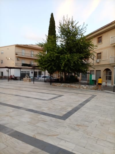 A young woman in a yellow t-shirt and black shorts stands on a paved plaza in Olula Del Río, Spain. She is facing away from the camera and appears to be looking down. The plaza is paved with large, light-colored marble tiles, interspersed with dark gray rectangular borders.
Behind the woman, there is a building with a light-colored facade, featuring balconies and windows. A tall, slender cypress tree stands to the left of the building, with a large, leafy tree in front of it. The scene suggests a quiet afternoon in a town square.
Further to the left, a covered outdoor seating area is visible, with several people seated on benches. Behind this area are more buildings, including one with an outdoor lamp post. Cars are parked near the buildings, and a green structure, possibly a public restroom or utility box, is near the large tree. The sky is a pale blue with some wispy clouds, indicating fair weather and possibly late afternoon or early evening. The overall atmosphere is calm and everyday.
