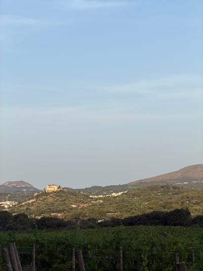 An outdoor, eye-level, long shot captures a panoramic view of the town of Artà, Spain. The scene is dominated by a clear, pale blue sky, with only faint white wisps of clouds visible. In the mid-ground, a cluster of buildings, likely residences and rural structures, are scattered across rolling, verdant hillsides. A prominent building, resembling a monastery or a large estate, sits atop a hill in the center of the frame, its light-colored stone structure contrasting with the surrounding greenery. The foreground features a vineyard, with rows of lush green grapevines extending across the bottom of the image. Wooden posts and wires, typical of vineyard trellising, are visible among the vines. The overall impression is one of a serene, rural landscape bathed in soft daylight.