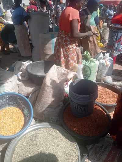 This image depicts a bustling outdoor grain market in Gurku Gwari, Nigeria, under direct sunlight. The scene is crowded with multiple individuals, primarily women, engaged in commerce.
In the immediate foreground, a variety of loose grains are displayed in large containers on the dusty ground. A light blue plastic basket holds yellow, coarsely broken grains, likely maize. Adjacent to it, a large metal basin contains fine, light grey granular material. A black plastic basin is filled with small, reddish-brown grains, possibly millet or sorghum, topped by an inverted dark blue "LUXE Paints" bucket.
Numerous large sacks, made of both jute/hessian and white synthetic material, filled with bulk goods, likely various grains, are arranged across the midground. Several sacks are open, revealing their contents. A black plastic bowl sits on the ground near these sacks.
In the midground, a woman wearing an orange short-sleeved top and a patterned skirt stands facing right, appearing to handle goods or conduct a transaction. Behind her, another woman in a dark top supports a light brown sack over her shoulder. To the left, a woman in a blue top and a light-colored wrap stands next to a tall, light-colored sack.
The background shows more market activity with numerous individuals, most wearing traditional Nigerian attire including headscarves and wrapped skirts, moving and interacting amidst additional sacks and stalls, under the bright, clear sky.