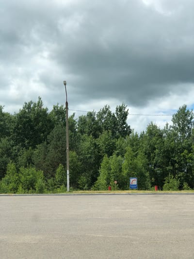 An exterior shot captures an overcast sky above a dense line of green trees. In the foreground, a paved asphalt surface stretches across the lower portion of the frame. A concrete sidewalk with a gray curb separates the asphalt from a grassy area bordering the trees. A tall, slender concrete lamppost stands vertically on the right side of the frame, roughly in the middle. To the left of the lamppost and closer to the trees, there are two small red cylindrical objects, one slightly behind the other. To the right of these, a blue square sign with white lettering and a red graphic depicts a water source. The background is dominated by the full canopy of deciduous and coniferous trees, with no visible structures beyond the implied road. The scene appears to be a roadside or parking area adjacent to a forest.