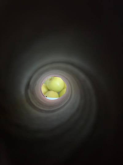 The image is a photograph taken from inside a dark, cylindrical tunnel looking outwards. The tunnel walls appear to be made of a dark material, possibly paper or cardboard, and curve inwards towards the viewer. The far end of the tunnel opens to reveal a cluster of round, yellow objects, which appear to be apples. The apples are out of focus, suggesting they are some distance away. The lighting is dim, with the brightest point being the opening of the tunnel and the apples within. There are no people visible in the image, and no indication of the specific location within the city of Cork, Ireland.