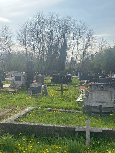 The image shows a graveyard in Hrvatska Dubica, Croatia. Tombstones and wooden crosses are visible among the green grass dotted with yellow dandelions. Bare trees line the horizon under a pale blue sky. Tombstones bear inscriptions such as "БУРО БУРИЧИТ", "СТАНИСАВАН", and "ЈАБУЧ".
